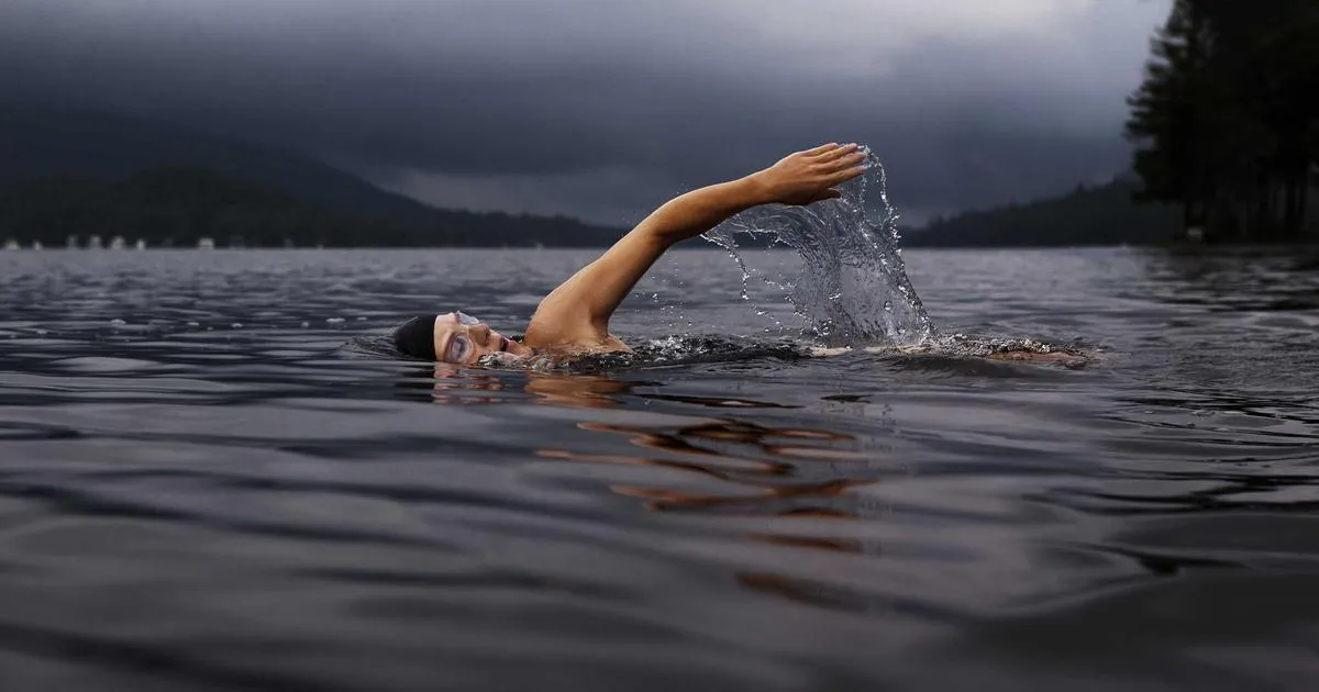 La fourche-bêche : guide complet pour comprendre et maîtriser cet outil essentiel du jardin