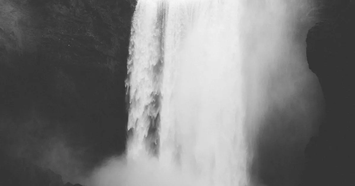 L’érable de Norvège : l’incontournable majestueux des parcs et jardins