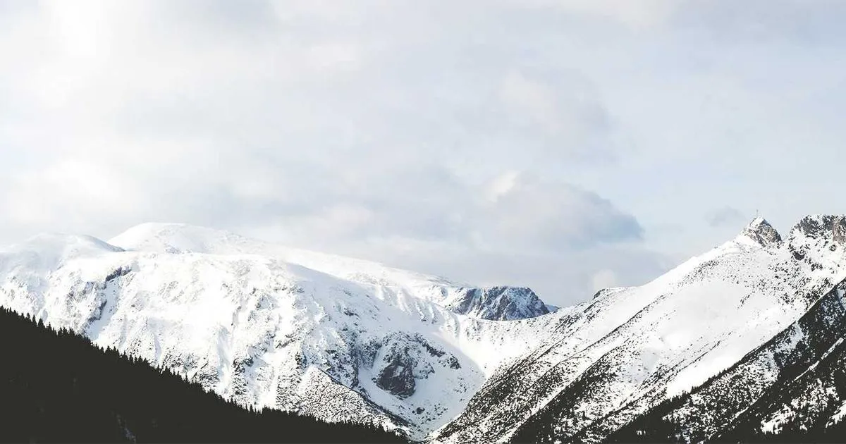 Manuel Visuel : Étapes pour Poser du Parquet en Bois Massif