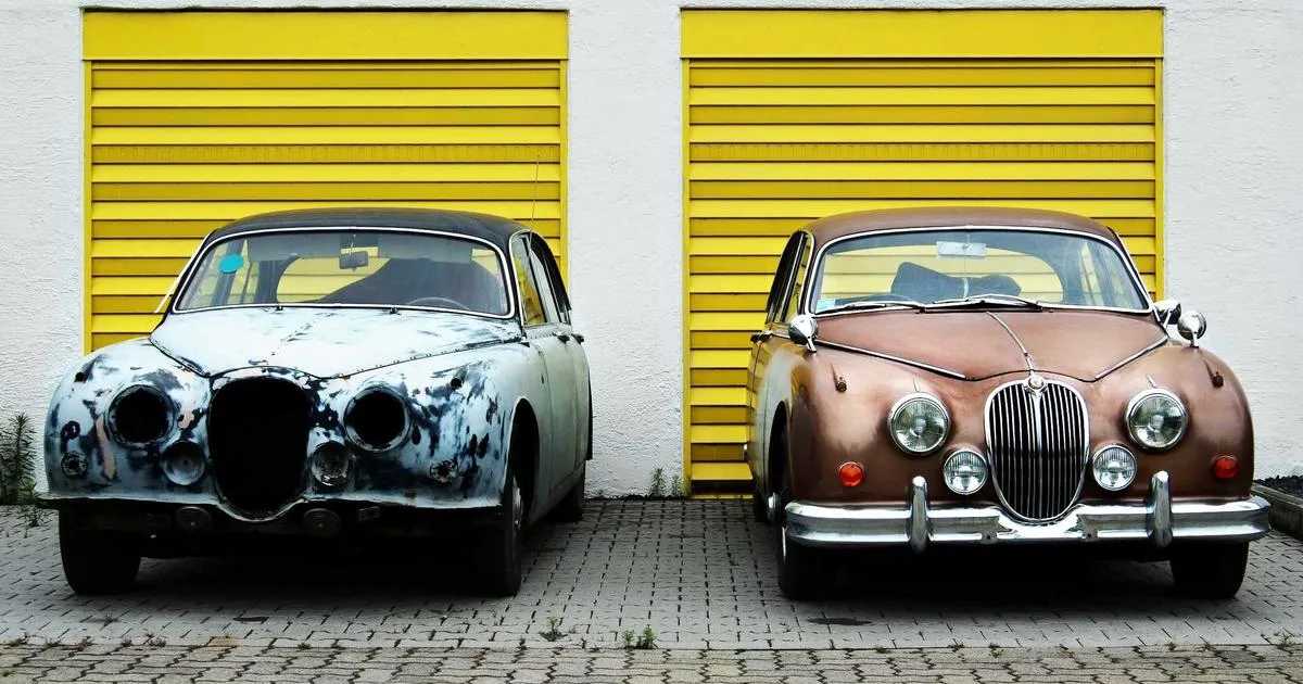 Plantes carnivores : guide pratique pour les apprivoiser et les cultiver chez soi sans effort