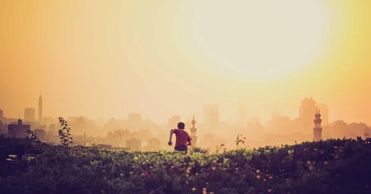 Préparez votre jardin en novembre : astuces pour les plantations, protections hivernales et préparatifs pour un printemps florissant