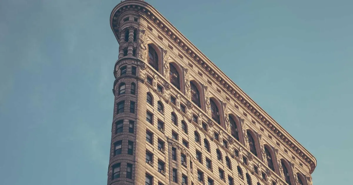 Réussir la culture des épinards en pot : les 5 secrets incontournables