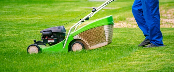 découvrez nos services d'entretien de jardin gratuits ! profitez de conseils d'experts pour embellir votre espace extérieur sans dépenser un centime. transformez votre jardin en un havre de paix grâce à nos astuces et recommandations.