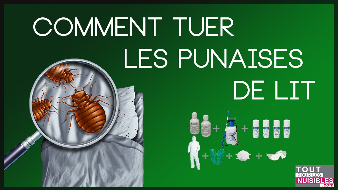 découvrez des méthodes efficaces pour éradiquer les punaises de lit rapidement et durablement, afin de retrouver un sommeil paisible sans nuisibles.