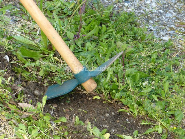 découvrez comment le binage, technique essentielle du jardinage, favorise un jardin florissant en améliorant la santé du sol et en stimulant la croissance des plantes.