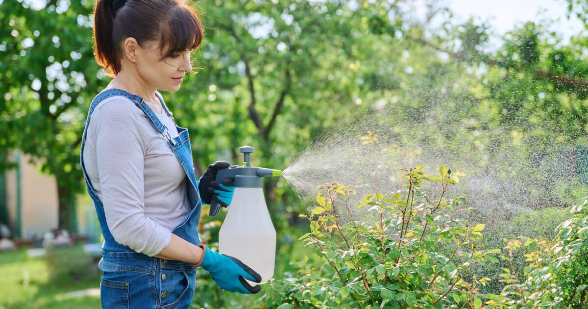 découvrez comment redonner vie à votre pelouse en éliminant les mauvaises herbes de manière écologique, pour un jardin sain et respectueux de l'environnement.