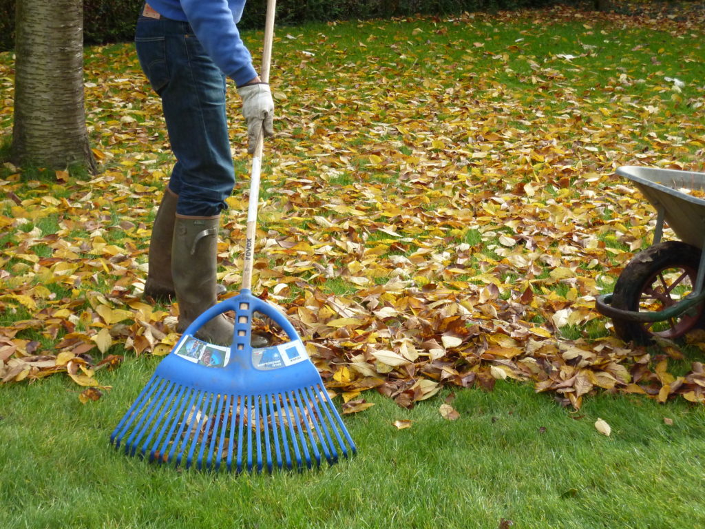 découvrez des conseils efficaces pour revitaliser votre pelouse après l'hiver et retrouver un gazon vert et en bonne santé rapidement.